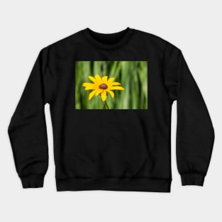 Black Eyed Susan Crewneck Sweatshirt